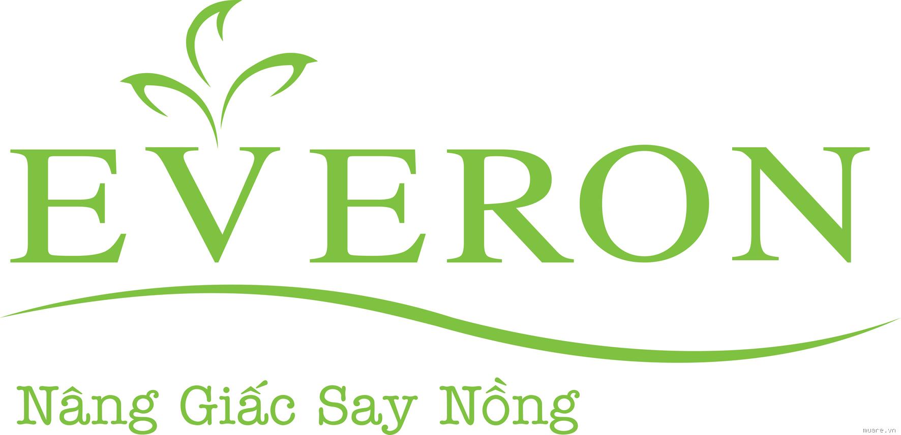Lý do bạn nên mua các sản phẩm chăn ga gối đệm Everon 