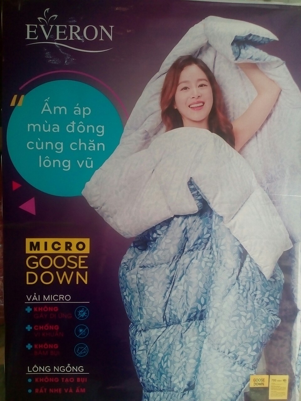 Ấm áp mùa đông cùng chăn lông vũ Everon 