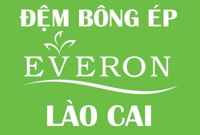Đệm Bông Ép Everon Lào Cai Khuyến mại